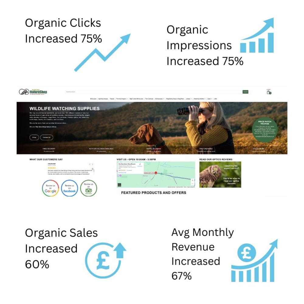 ecommerce seo